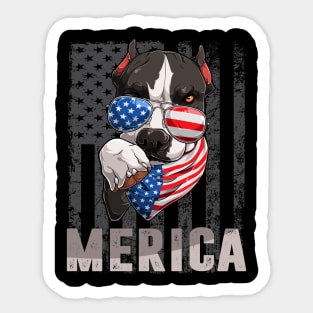 Merica pitbull 4th of July ,Funny 4th of July Lover Sticker